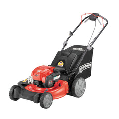 21-in. 163cc RWD Self-Propelled Gas Lawn Mower (M310)